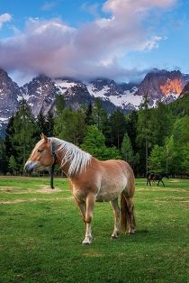 HORSEBACK RIDING